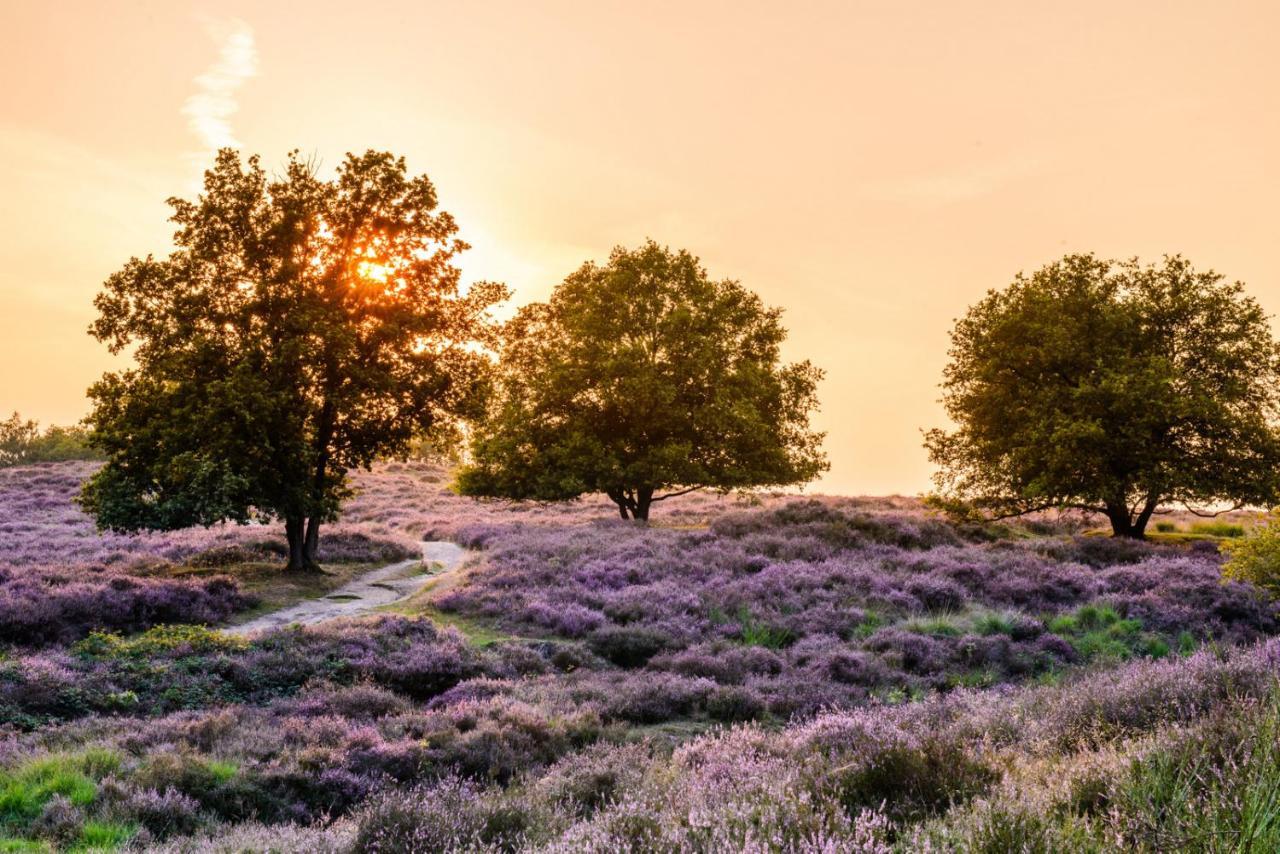 Vakantie Bij Meeussen - Schuttersoord Mook Exteriér fotografie